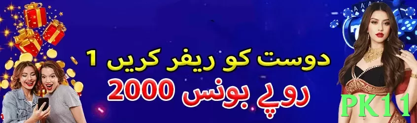 pk11 game app for Pakistan players - 2